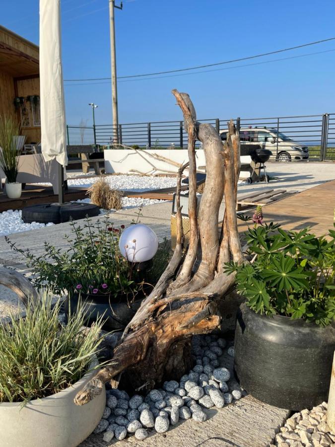 קוסטינסטי Maison Du Golf מראה חיצוני תמונה