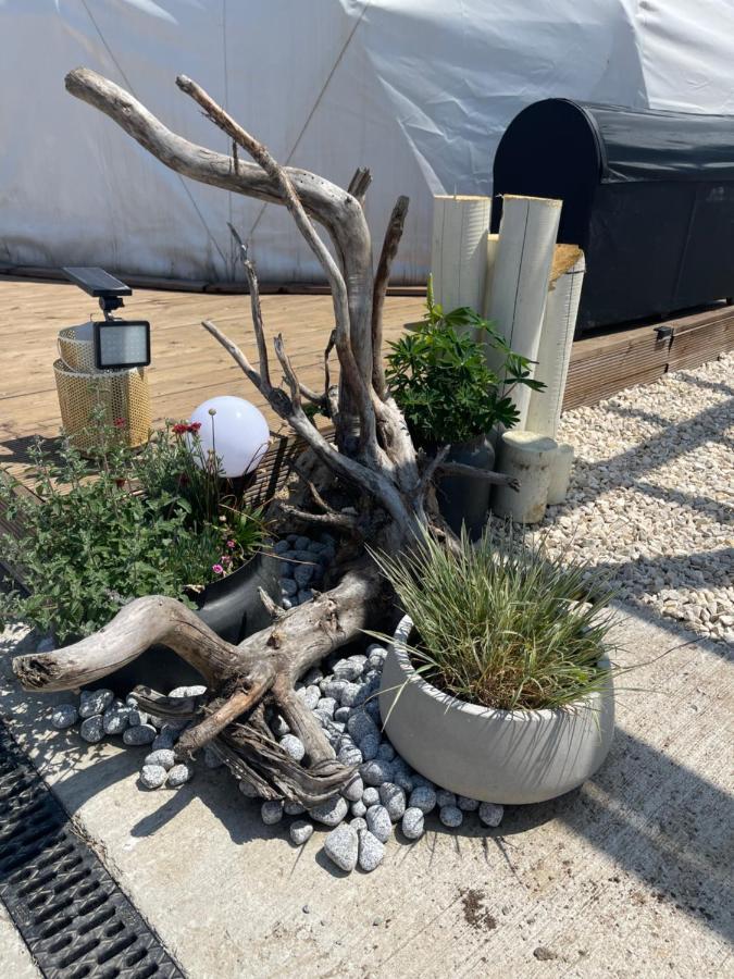 קוסטינסטי Maison Du Golf מראה חיצוני תמונה
